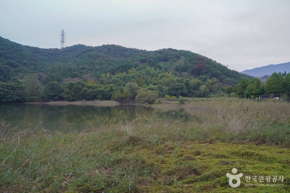 회동수원지 둘레길