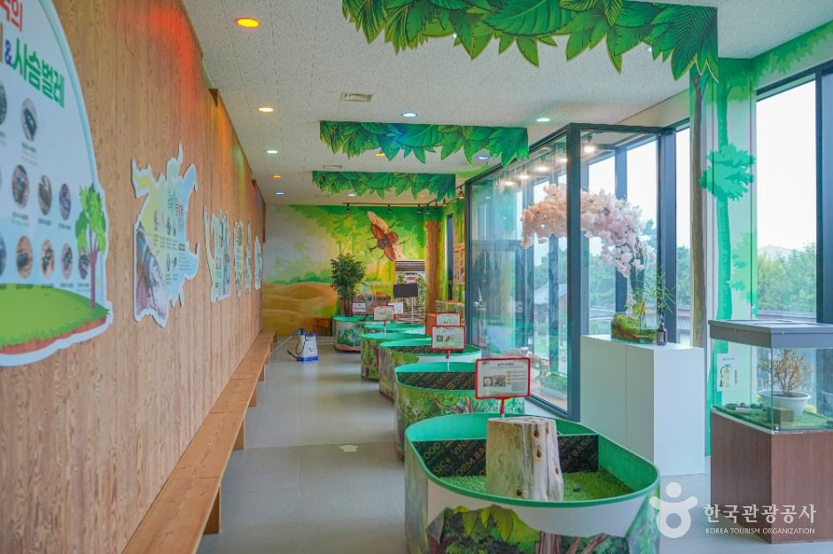 영암곤충박물관