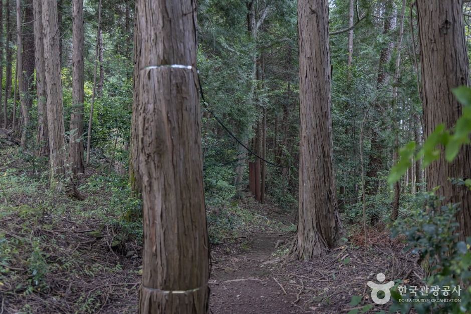 남해토피아랜드