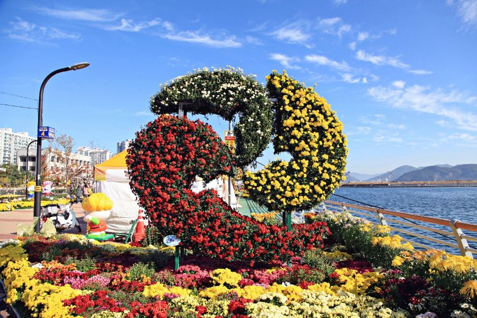 마산가고파국화축제