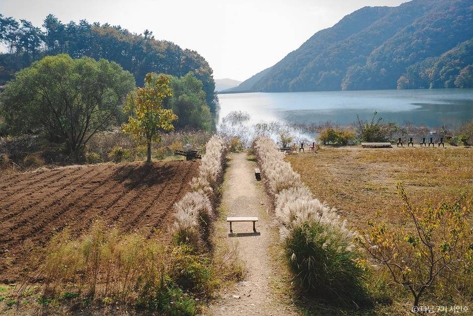 안성 가을 여행 서울 근교 당일치기 단풍 명소_호수정감_2-8
