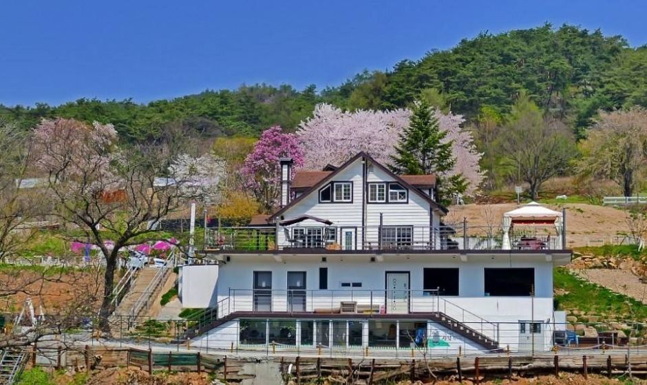 제천통나무펜션