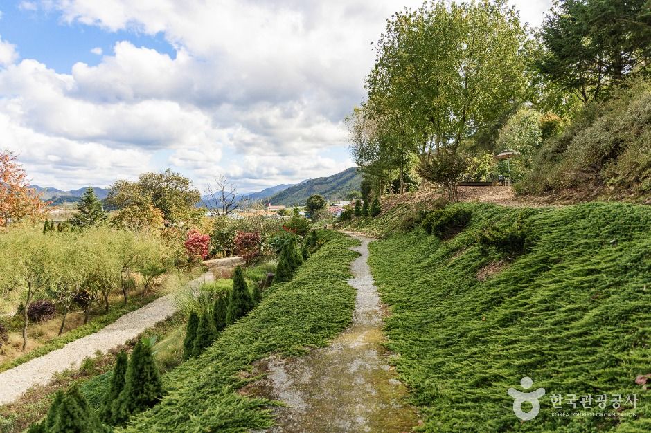 괴산 트리하우스 가든