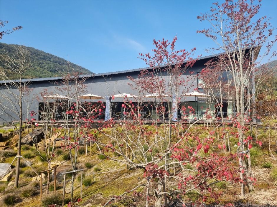 칠곡_시호재&시차 (3)