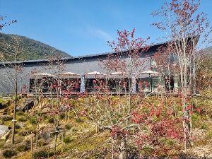 칠곡_시호재&시차 (3)