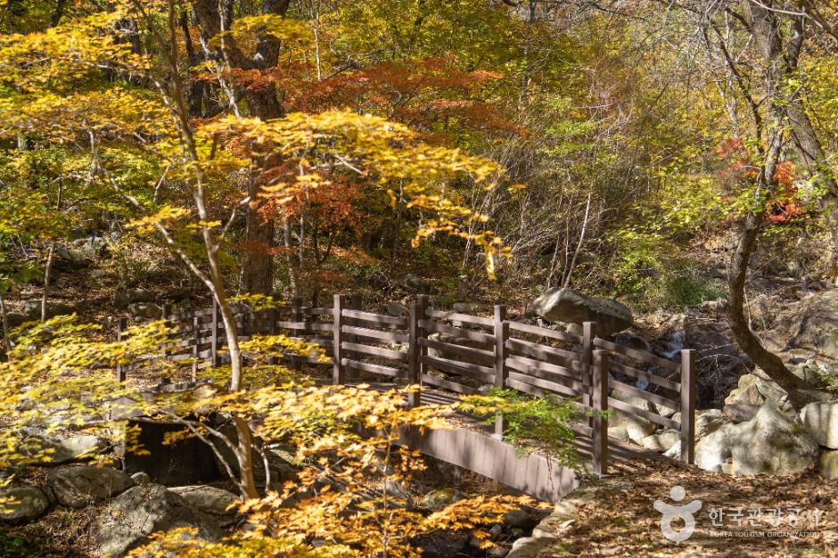 봉화 대현리 열목어 서식지