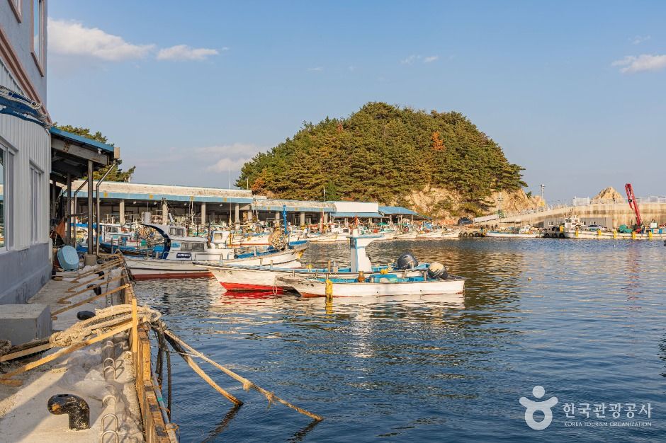 고성_강원평화누리길 18코스 고성 거진명태고향길 (2)