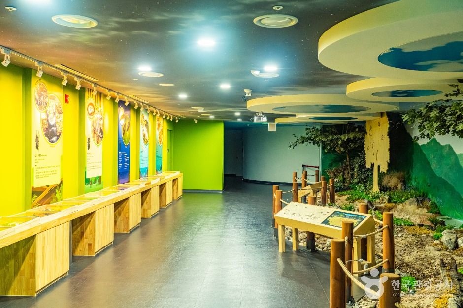 영양_영양 국제밤하늘보호공원 (4)