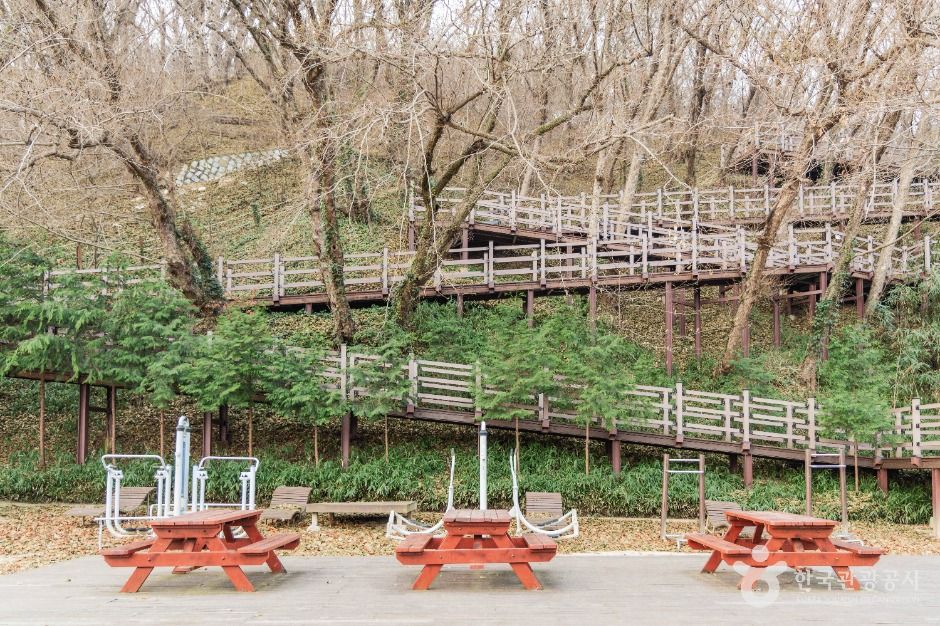 도음산 산림문화수련장