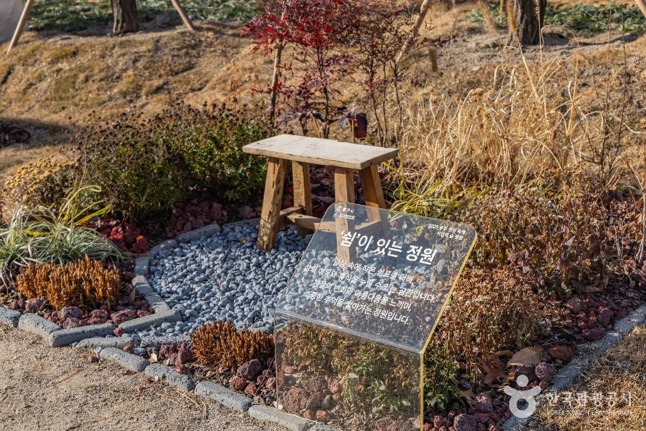 thumbnail-충주 시민의 숲-12