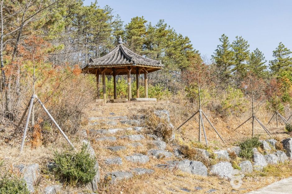 진안_고원화목원 (11)