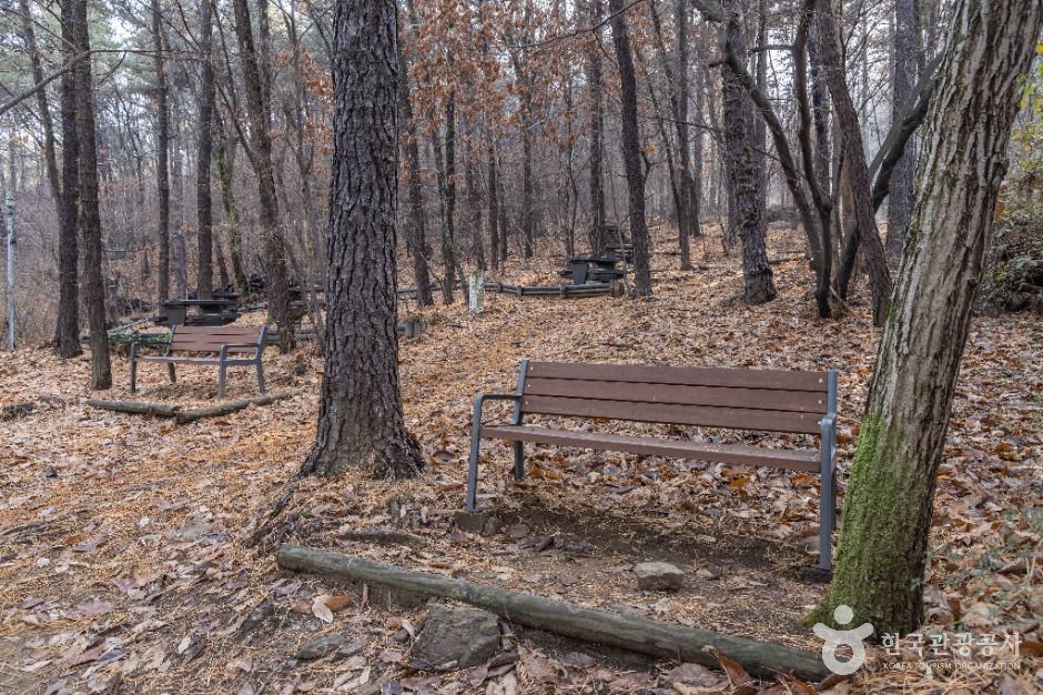 thumbnail-대모산도시자연공원-9