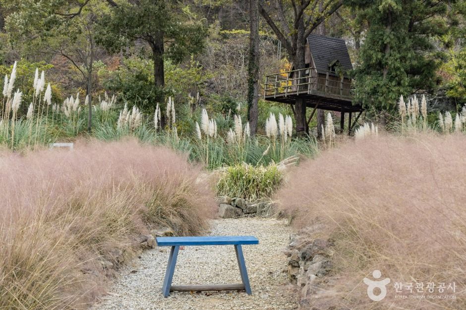 포레스트 수목원