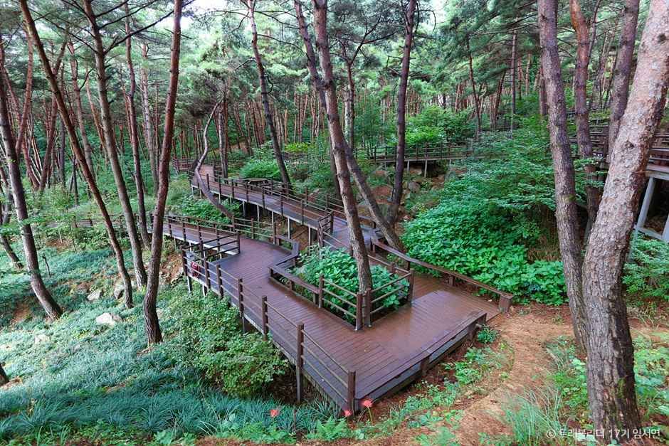 thumbnail-거창 항노화힐링랜드-1