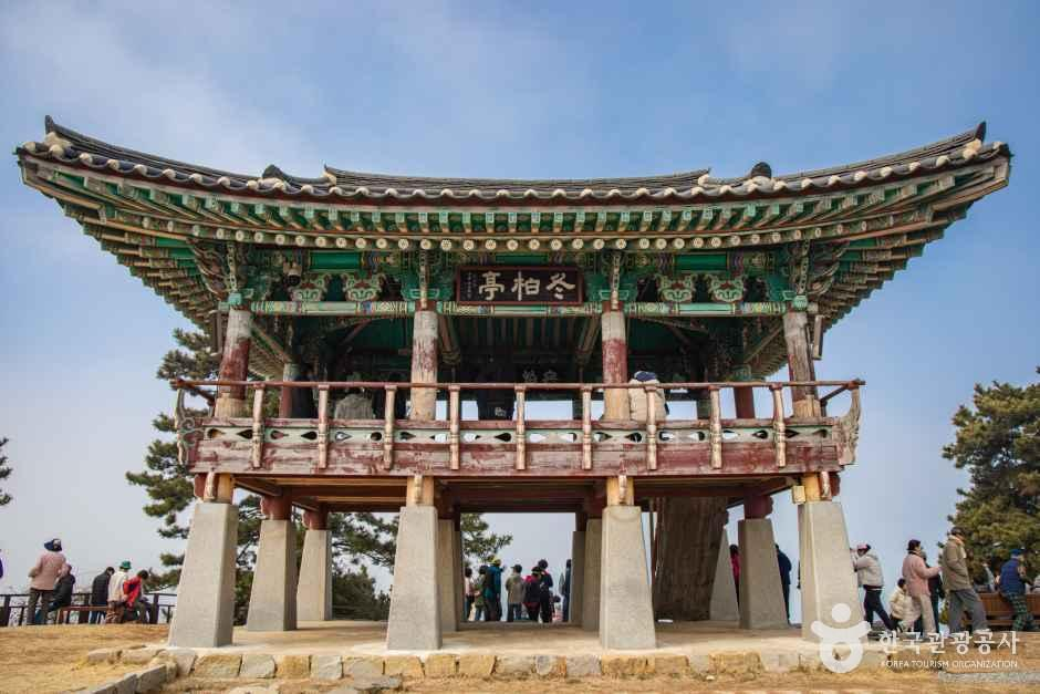 thumbnail-서천 마량리 동백나무 숲-0