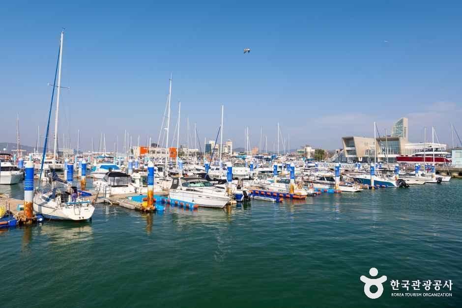 thumbnail-전곡항-17