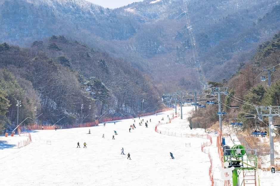 무주덕유산리조트 스키장