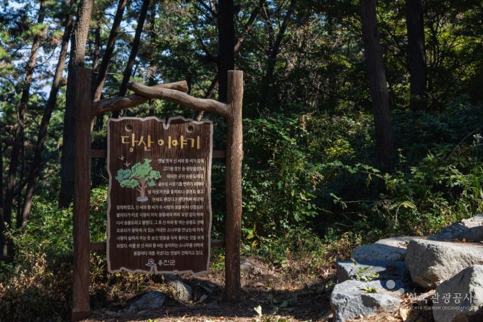 thumbnail-승봉산림욕장-4