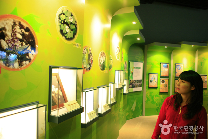 Seoraksan National Park Visitor Center (설악산 탐방안내소)