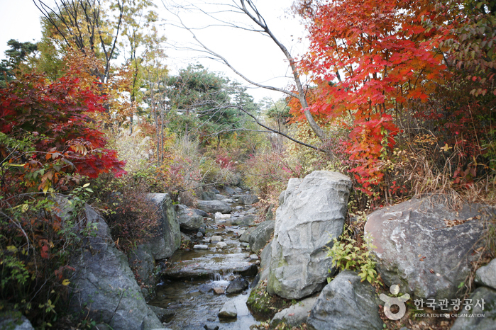 Parque Familiar Yongsan (용산가족공원)