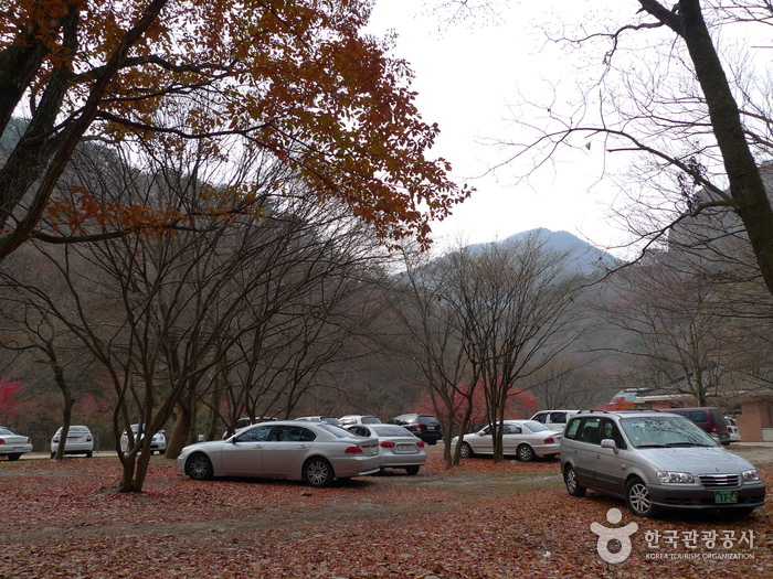 내장산국립공원 사진36