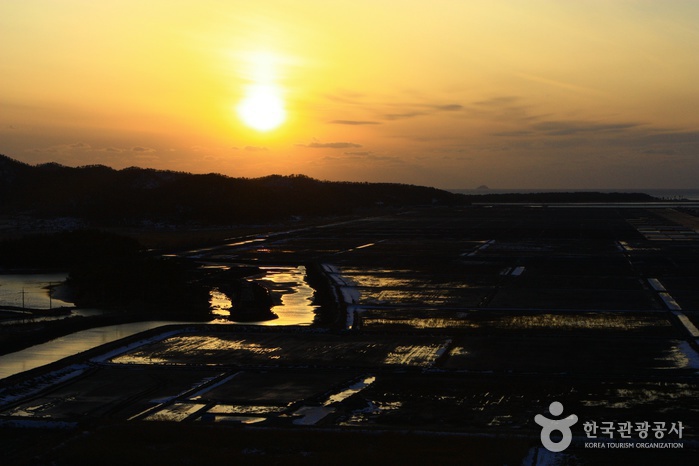Jeungdo Island [A Slow City](증도)