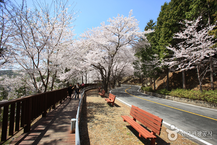 Colline Anmin (안민고개)