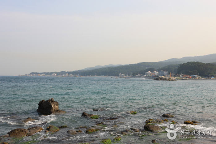 Jujeon Mongdol Beach (주전몽돌해변)