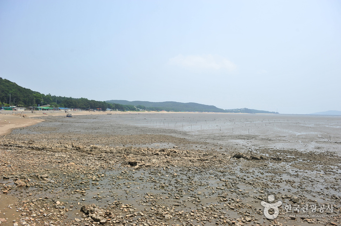 용유도 마시안해변