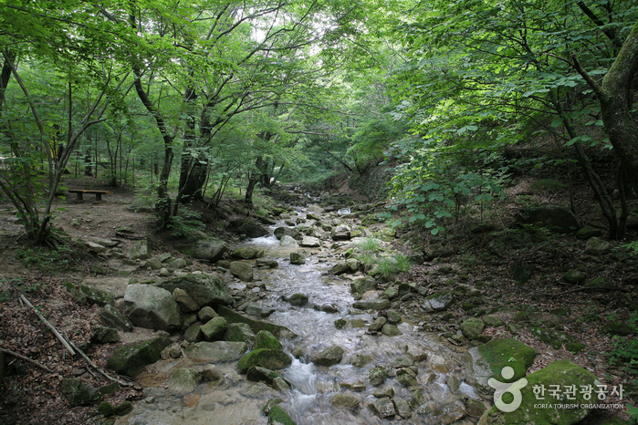 문경새재도립공원 사진48