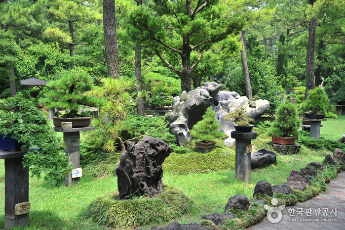 Hallim Park (한림공원)