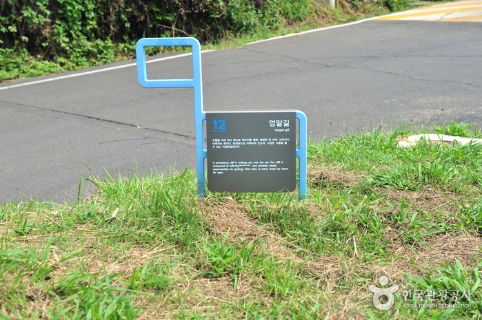 [제주올레 12코스] 무릉-용수 올레0