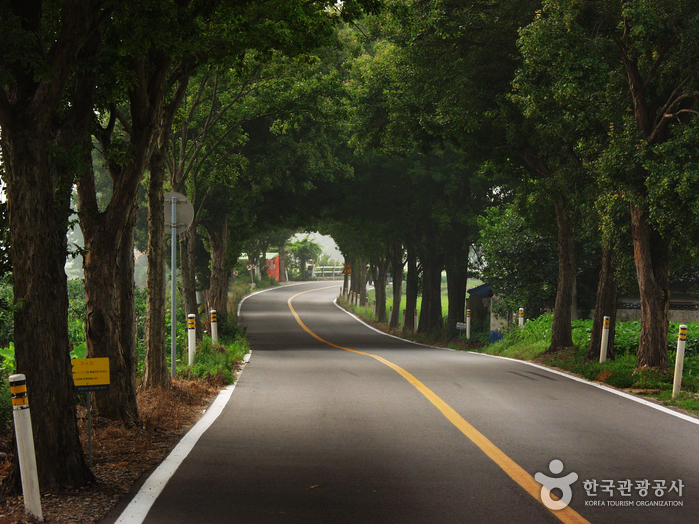 Moaksan Provincial Park (Gimje) (모악산도립공원)