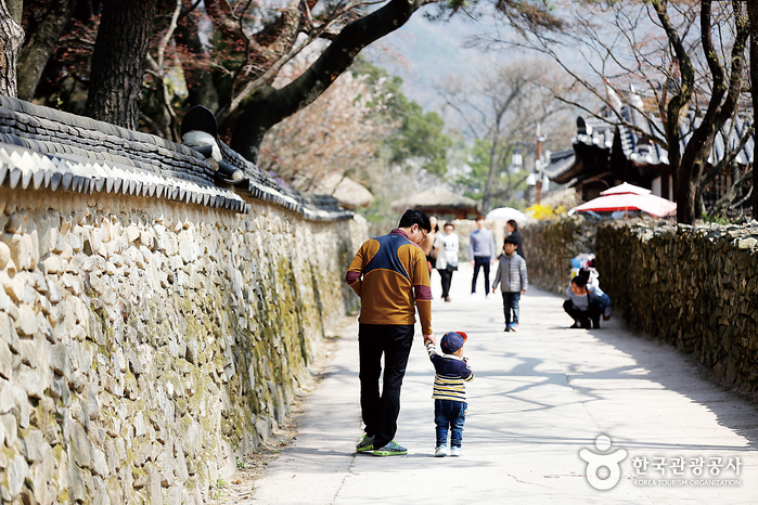 마을 돌담을 따라 산책 중인 아빠와 아들