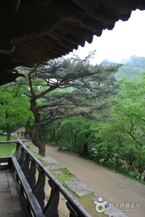 문경새재도립공원 사진50