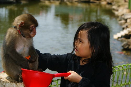 일산 동물의 왕국0