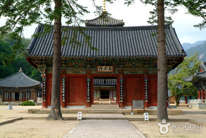 보은 법주사 사진10