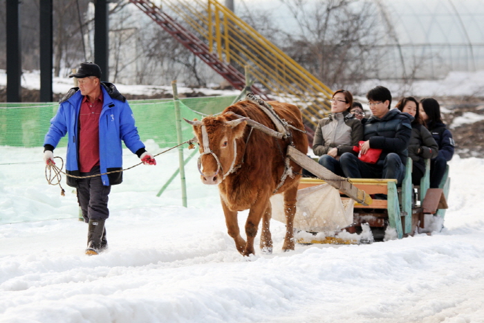 名品 칠갑산얼음분수축제 2018  사진6