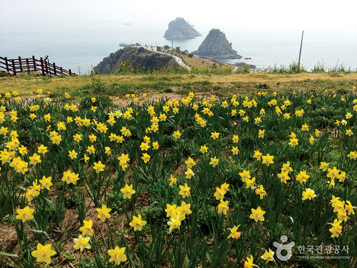 Острова Орюкдо (Национальный геопарк в Пусане) (오륙도 (부산 국가지질공원))