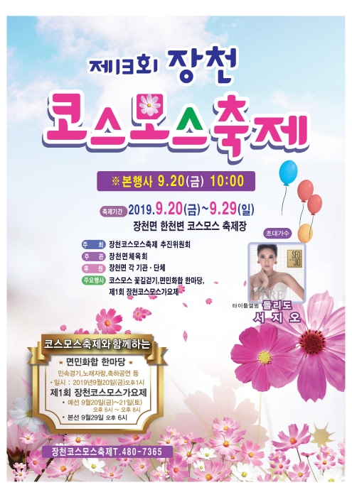 장천 코스모스 축제 20197