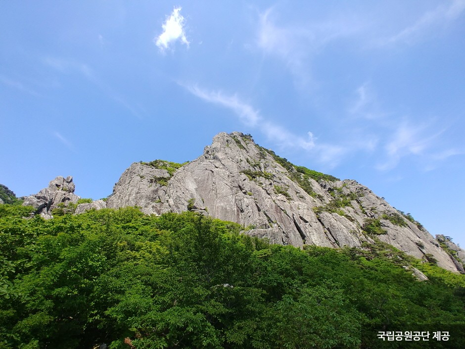Gayasan National Park (Hongnyu-dong, Cheongnyang-dong Area) (가야산국립공원(홍류동,청량동지구))
