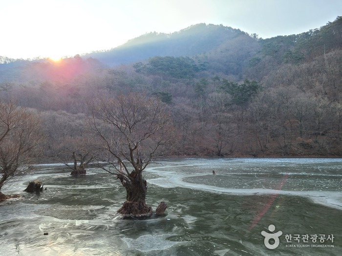 Jusanji Pond [National Geopark] (주산지 (청송 국가지질공원))