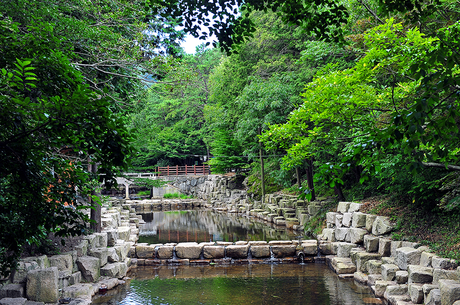 유치자연휴양림2