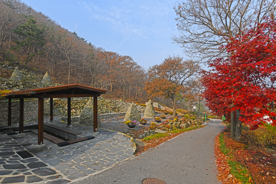 Seongmodo Arboretum (석모도 수목원)