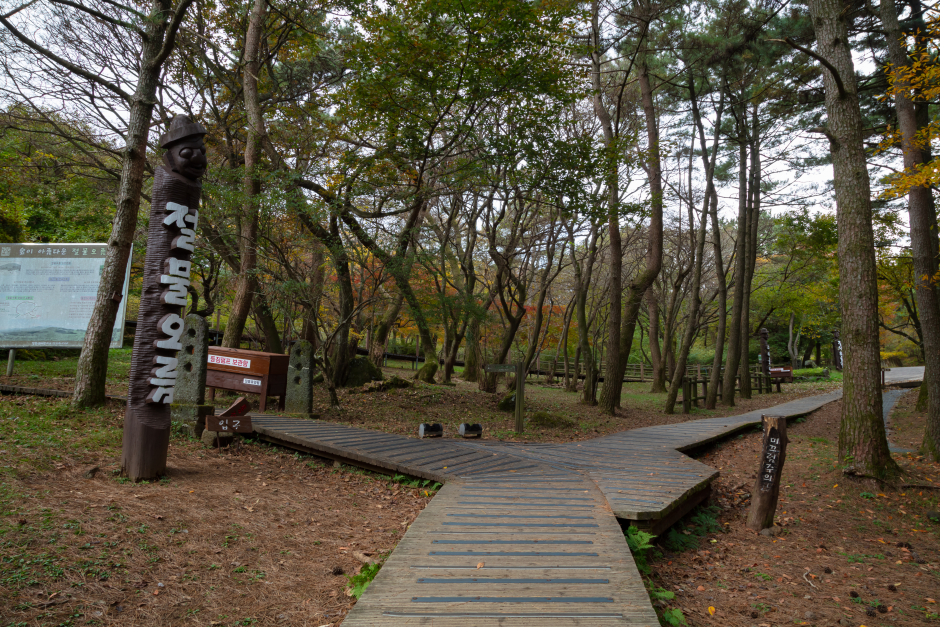 Bosque Recreativo Jeolmul de Jeju (제주절물자연휴양림)