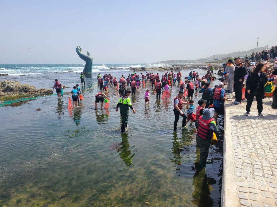 Festival del Pulpo y de Productos del Mar de Homigot (호미곶 돌문어 수산물 축제)
