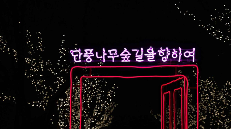 2024 독립기념관 야간개장 '별 헤는 밤' 시즌 1