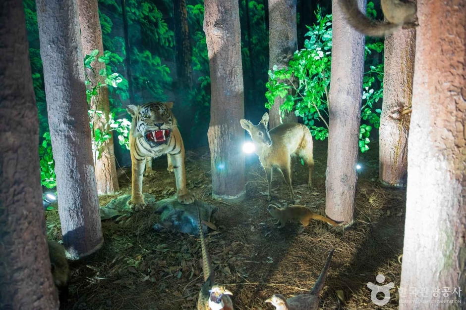 thumbnail-강원특별자치도립화목원-27