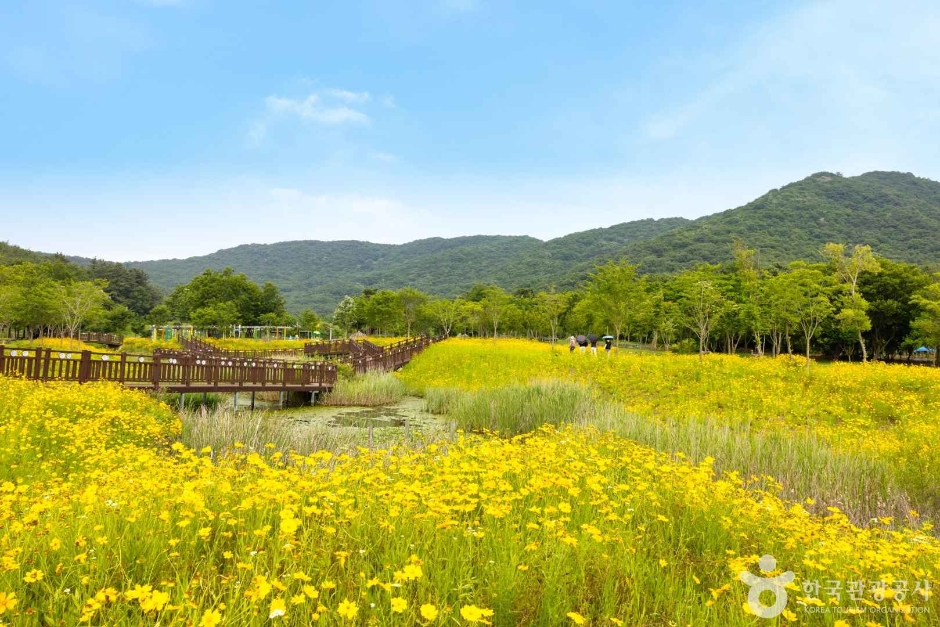 고창 운곡람사르습지