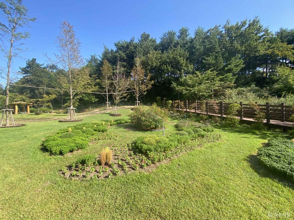 雪岳山野生植物园 (설악산 자생식물원)